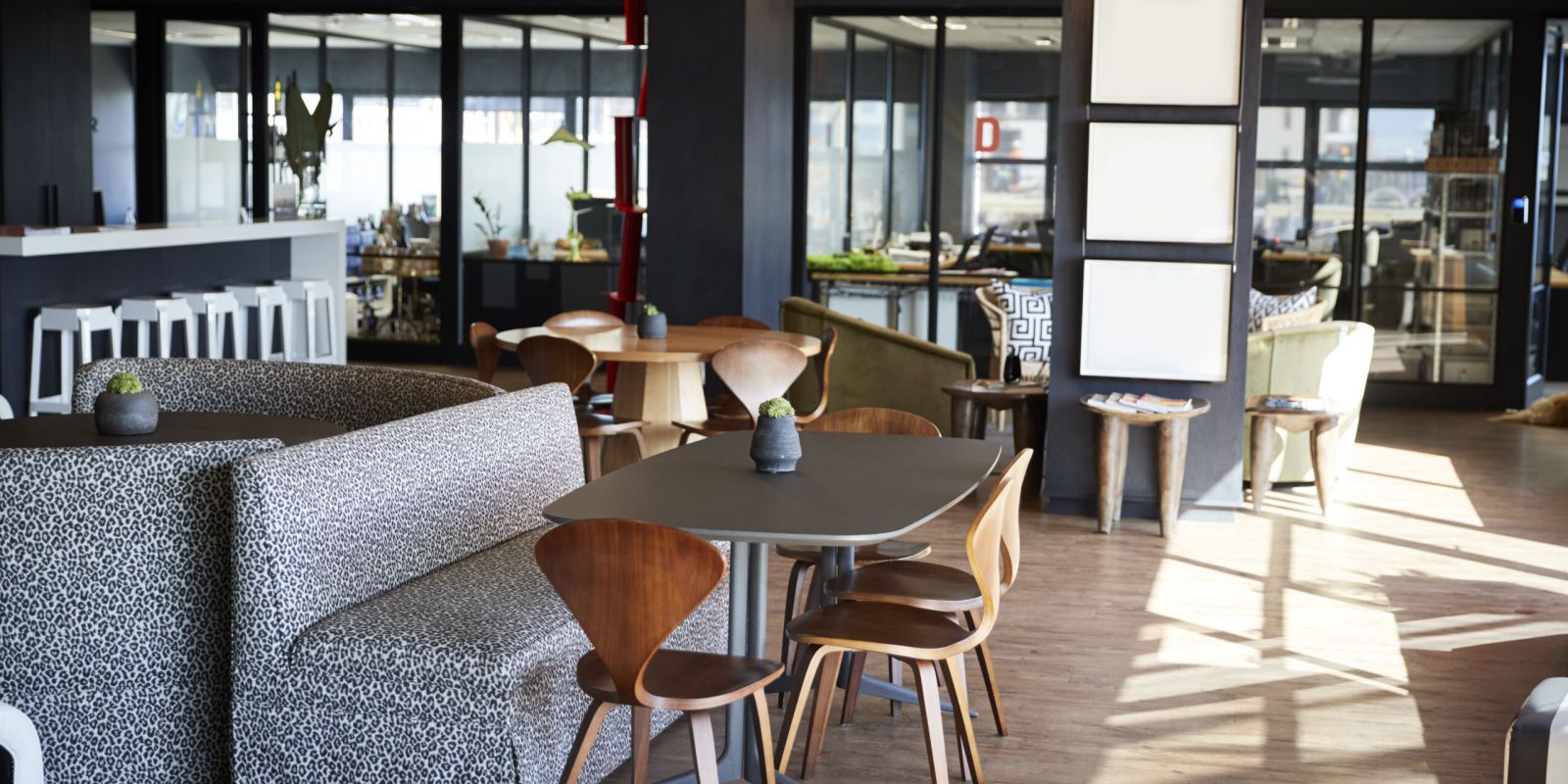 Furniture in the eating and casual meeting area of a creative business in daylight, no people